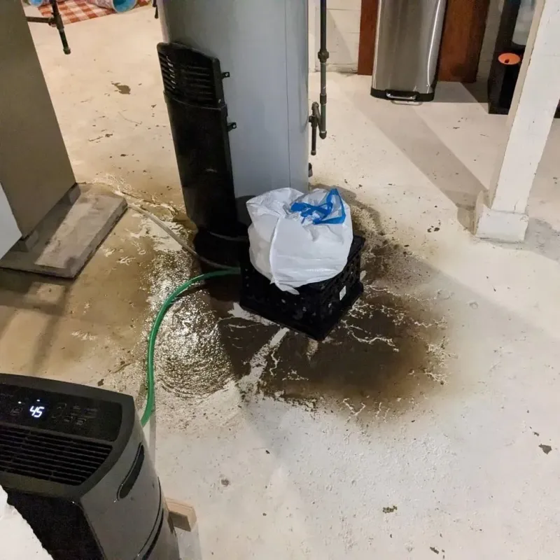 Sewage Backup Cleanup Service in Walcott, IA